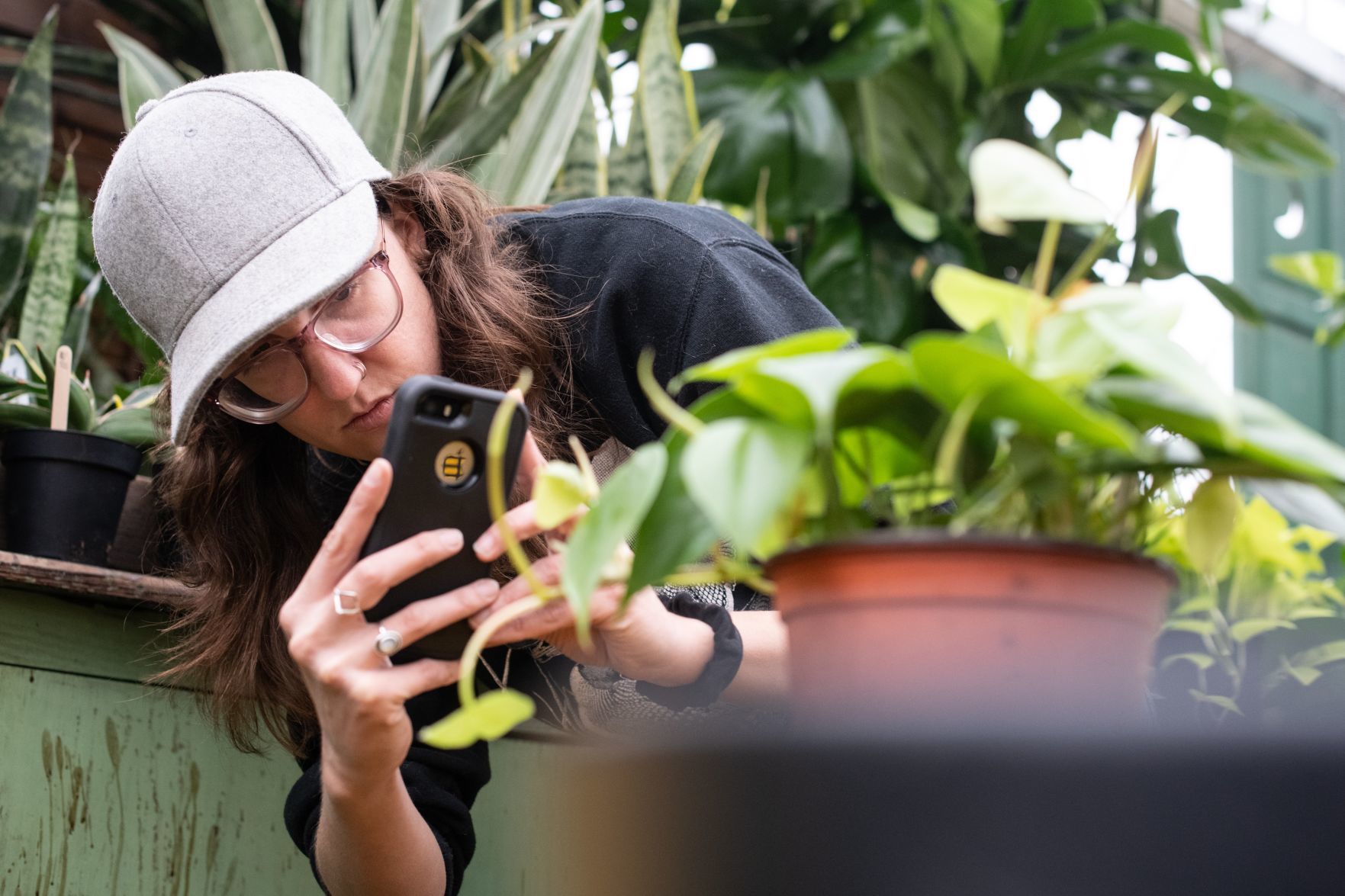 Plant stores salvage biggest season by adapting amid crisis